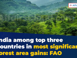 India among top three countries in most significant forest area gains