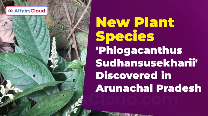 New Plant Species 'Phlogacanthus Sudhansusekharii' Discovered in Arunachal Pradesh