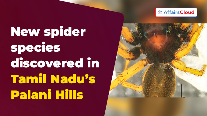 New spider species discovered in Tamil Nadu’s Palani Hills