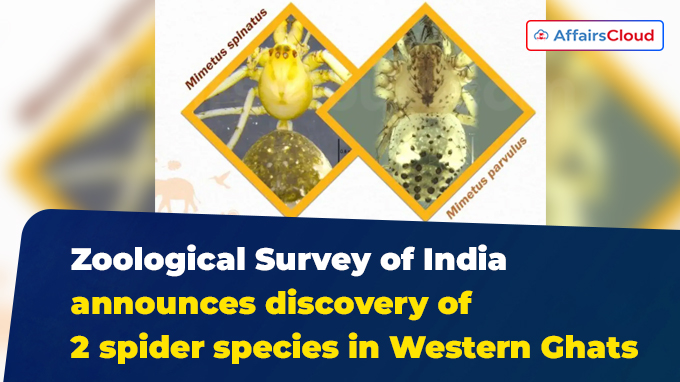 Zoological Survey of India announces discovery of 2 spider species in Western Ghats