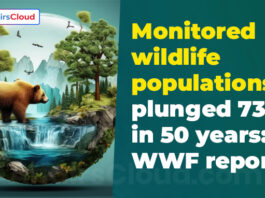 Monitored wildlife populations plunged 73% in 50 years