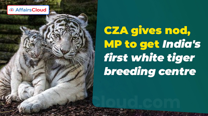 CZA gives nod, MP to get India's first white tiger breeding centre