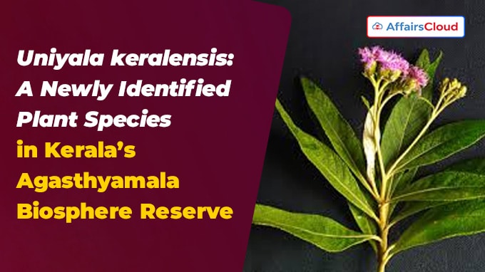 Uniyala keralensis A Newly Identified Plant Species in Kerala’s Agasthyamala Biosphere Reserve