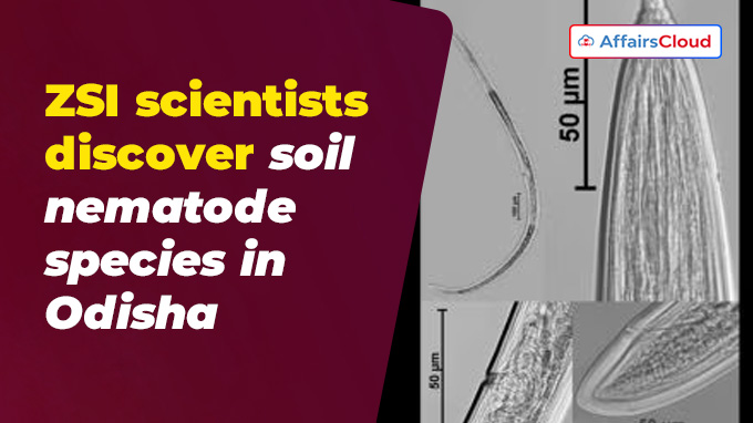 ZSI scientists discover soil nematode species in Odisha