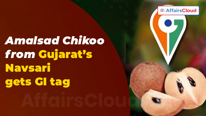 Amalsad Chikoo from Gujarat’s Navsari gets GI tag