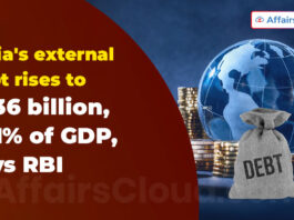 India's external debt rises to $736 billion, 19.1% of GDP, says RBI