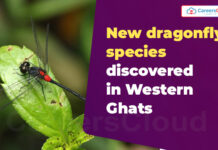 New Dragonfly Species ‘Lyriothemis abrahami’ Discovered in Western Ghats