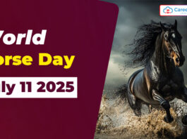 World Horse Day - July 11 2025