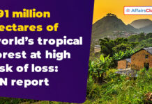 विश्व के 391 मिलियन हेक्टेयर उष्णकटिबंधीय वन विनाश के उच्च जोखिम में: UN रिपोर्ट