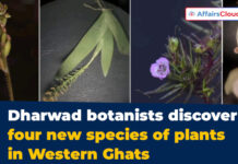 Four New Plant Species Discovered in the Western Ghats