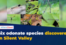 Six New Odonate Species Discovered in Silent Valley National Park, Kerala